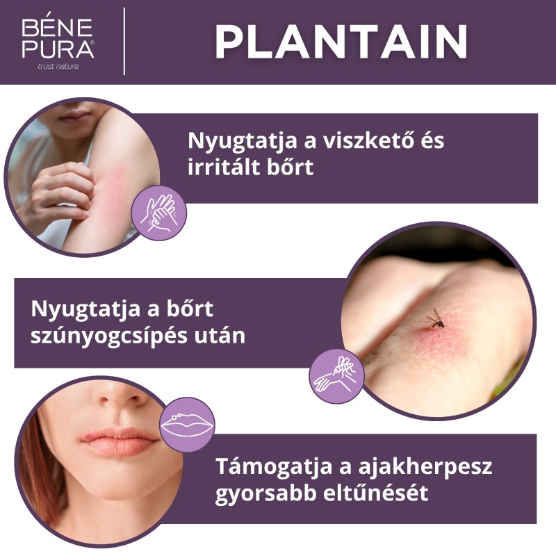 3x Viszketés elleni Kenőcs Útifüvel - 40ml