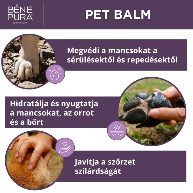 Kenőcsök kutyáknak készlet