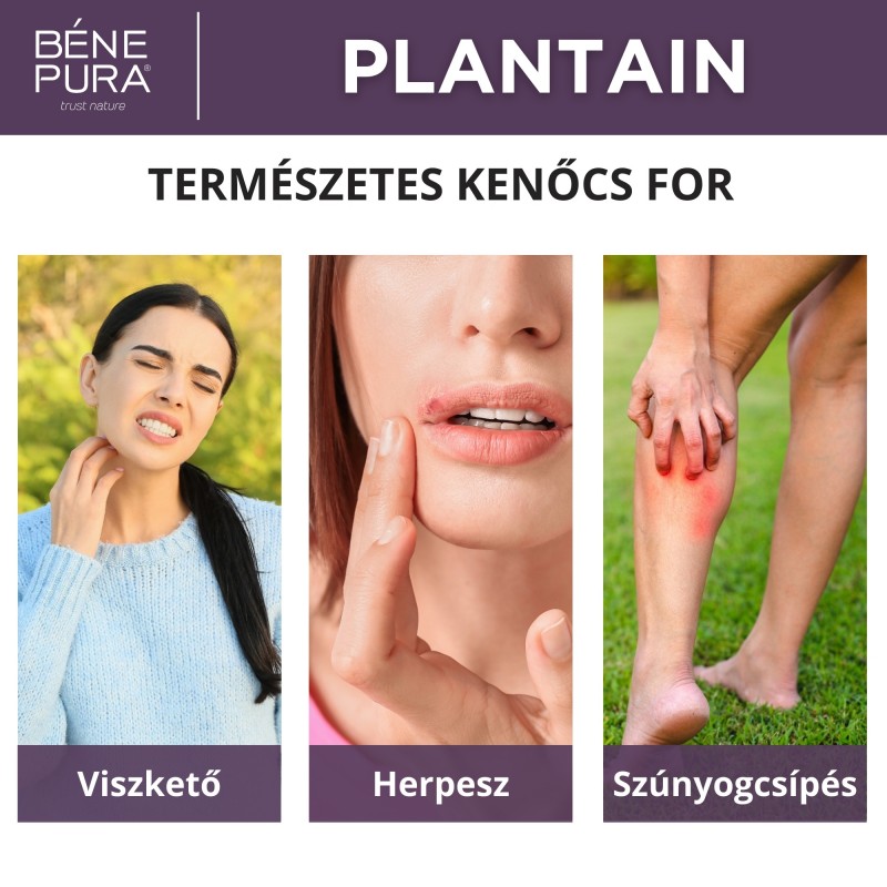 Viszketés elleni Kenőcs Útifüvel - 40ml