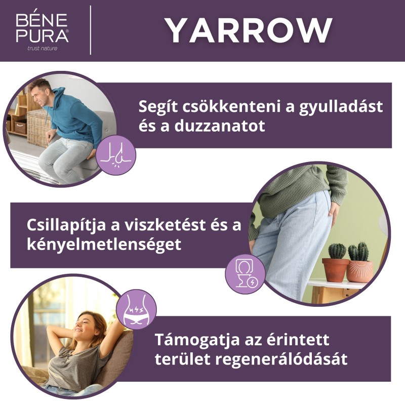 Aranyér Kenőcs Fehér Cickafarkfűvel - 40ml