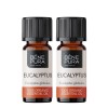 2x Bio Eukaliptusz Globulus Illóolaj - 10ml