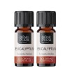 2x Bio Eukaliptusz Radiata Illóolaj - 10ml