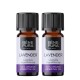 2x Bio Levendula Illóolaj - 10ml