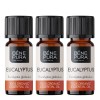 3x Bio Eukaliptusz Globulus Illóolaj - 10ml