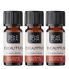 3x Bio Eukaliptusz Radiata Illóolaj - 10ml