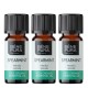 3x Bio Fodormenta Illóolaj - 5ml
