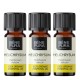 3x Bio Helichrysum Illóolaj - 5ml