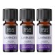 3x Bio Levendula Illóolaj - 10ml