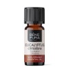 Bio Citromos Eukaliptusz Illóolaj - 10ml