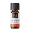 Bio Eukaliptusz Globulus Illóolaj - 10ml