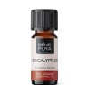 Bio Eukaliptusz Radiata Illóolaj - 10ml