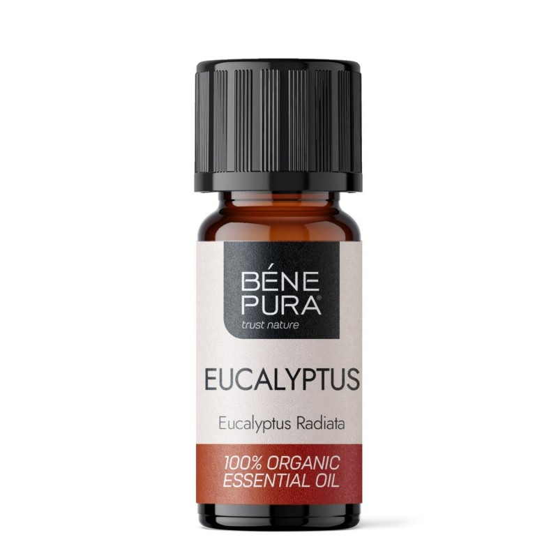 Bio Eukaliptusz Radiata Illóolaj - 10ml