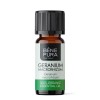 Bio Muskátli Illóolaj - 10ml