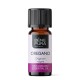 Bio Oregano Illóolaj - 10ml