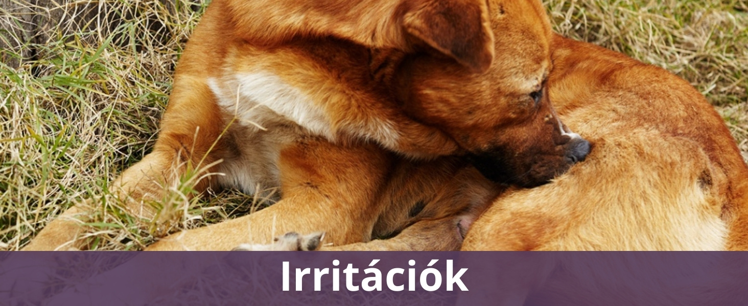 Irritációk