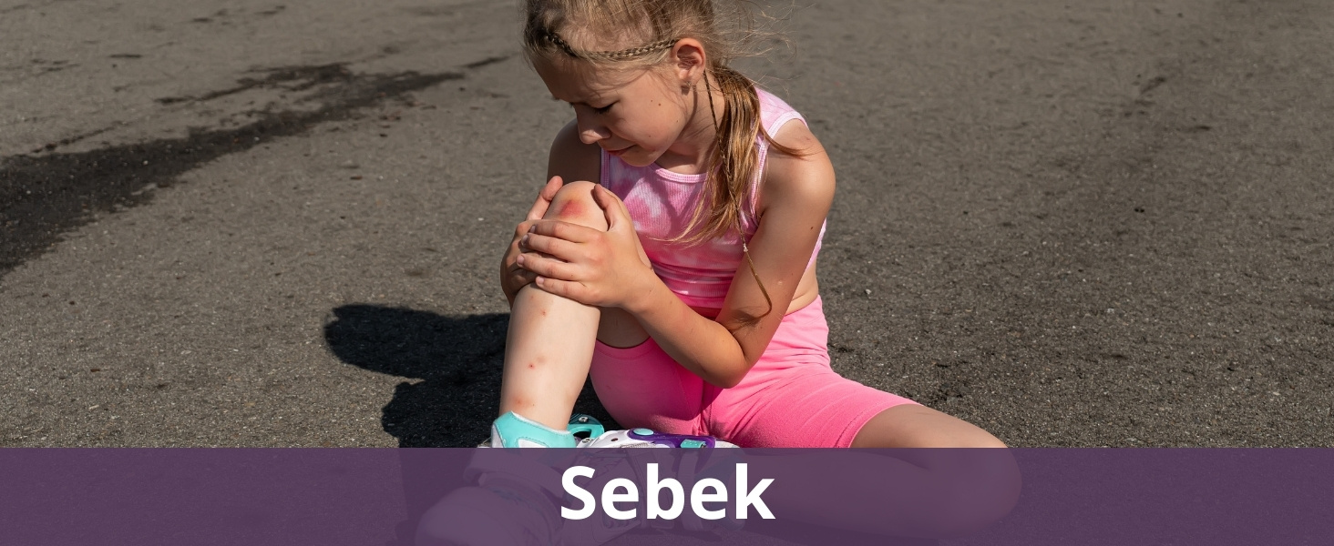 Sebek