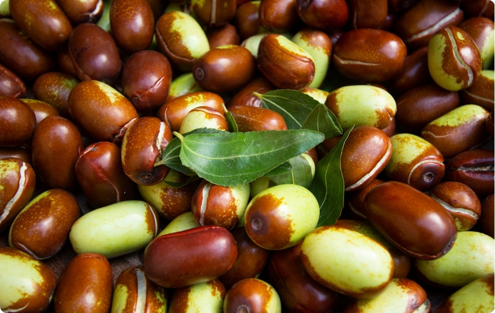 Miben segít a Jojoba Hordozóolaj?