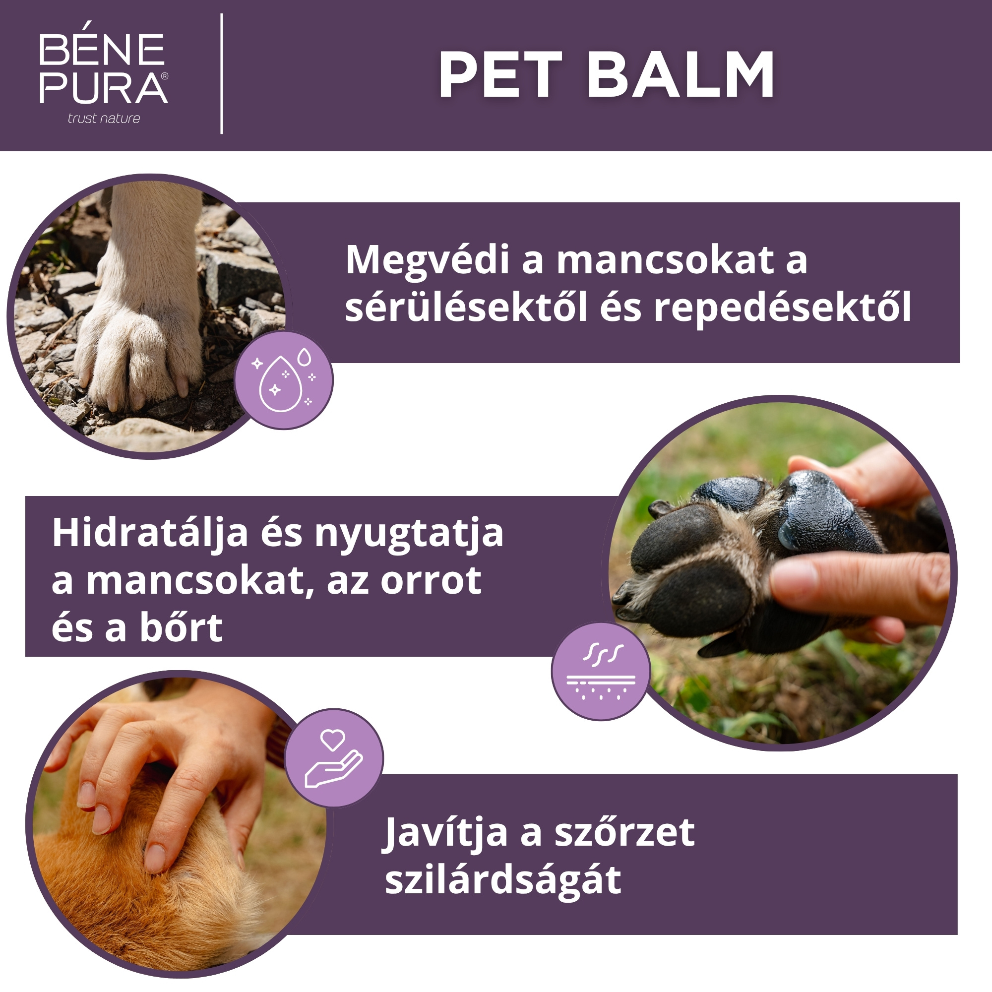 "Kenőcsök kutyáknak" készlet